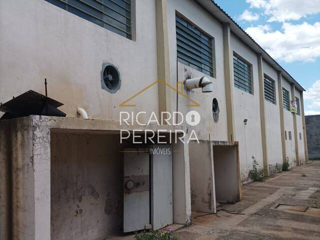 #247 - Galpão para Venda em Limeira - SP - 3